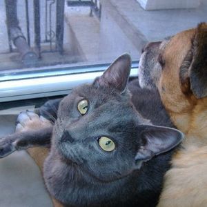 Meet your Posher, Peggy